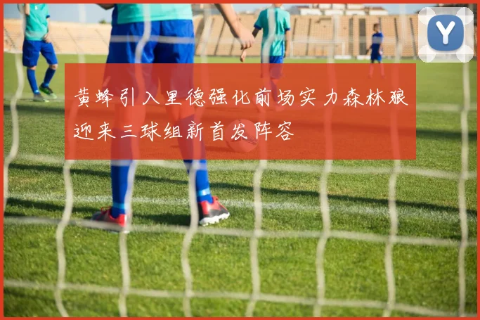 黄蜂引入里德强化前场实力森林狼迎来三球组新首发阵容