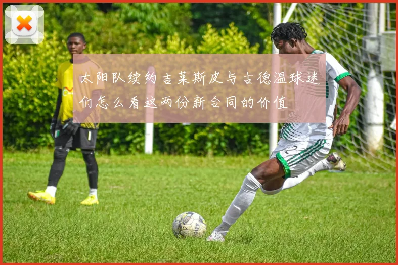 太阳队续约吉莱斯皮与古德温球迷们怎么看这两份新合同的价值